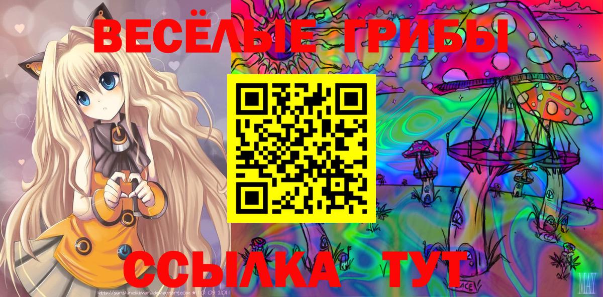 Рубцовск  Псилоцибиновые грибы Cubensis  Вход с VPN 