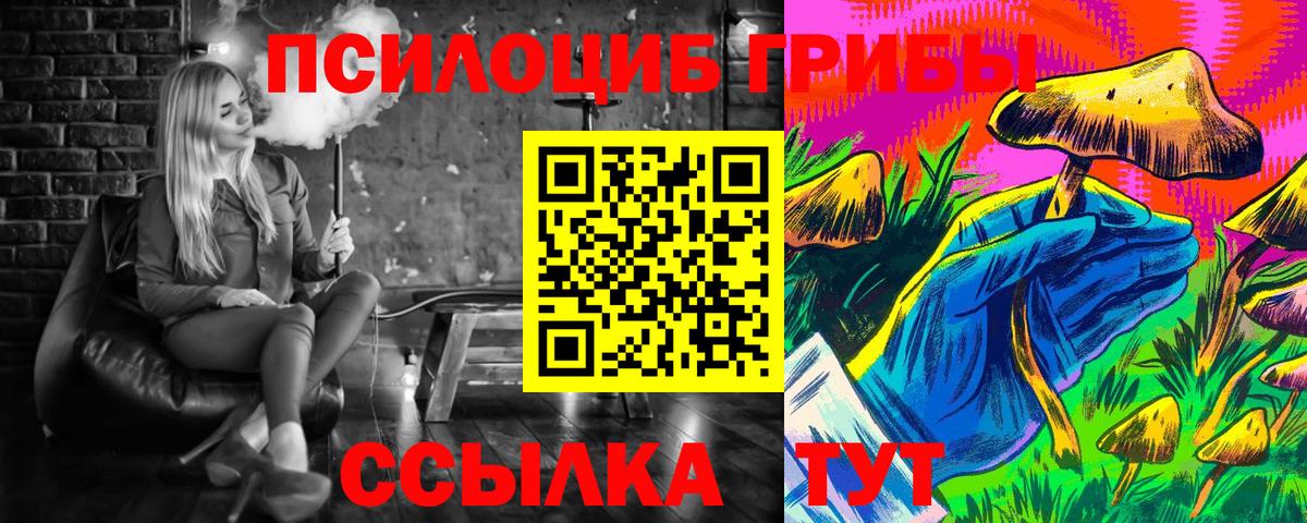 Псилоцибиновые грибы Cubensis Рубцовск